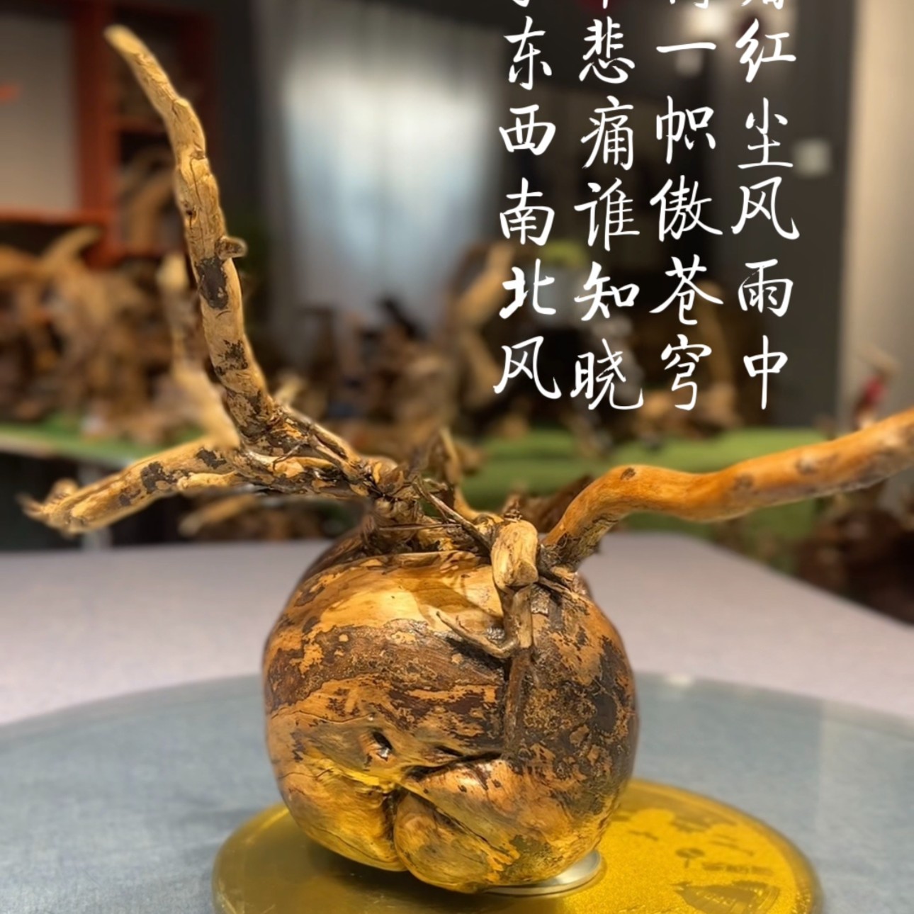 【一物一拍】老史根艺馆随型老料精品摆件