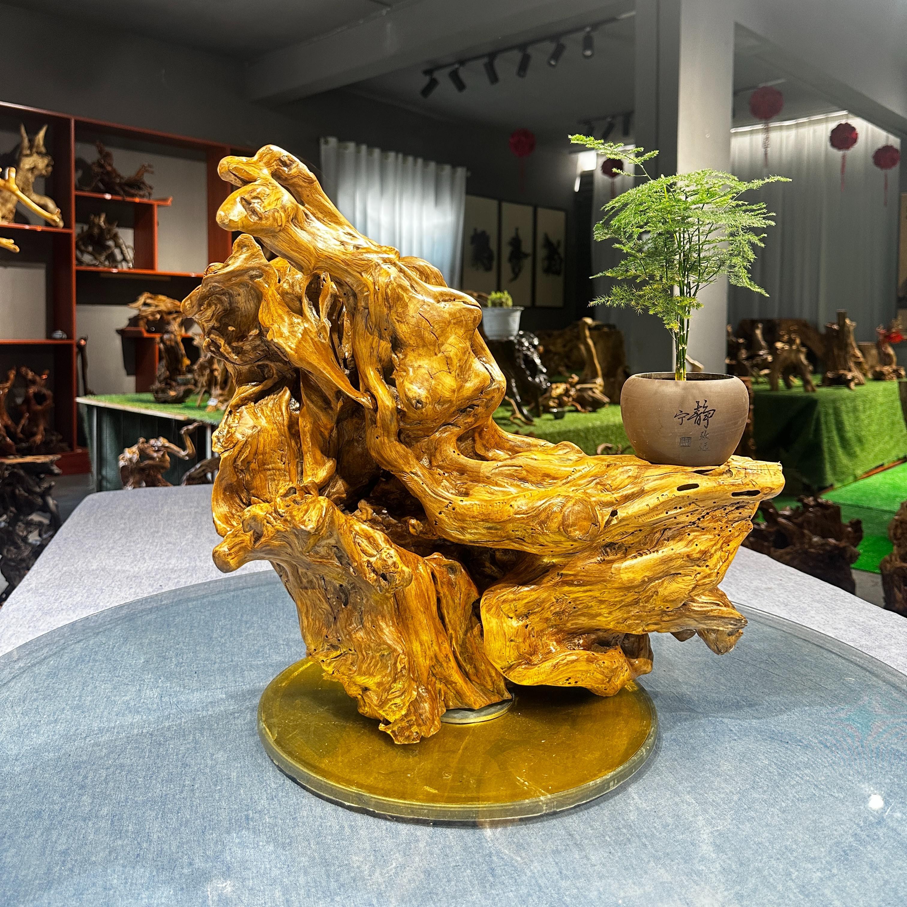 【一物一拍】直播间根艺摆件茶空间饰品精品老根老料自然风化摆饰