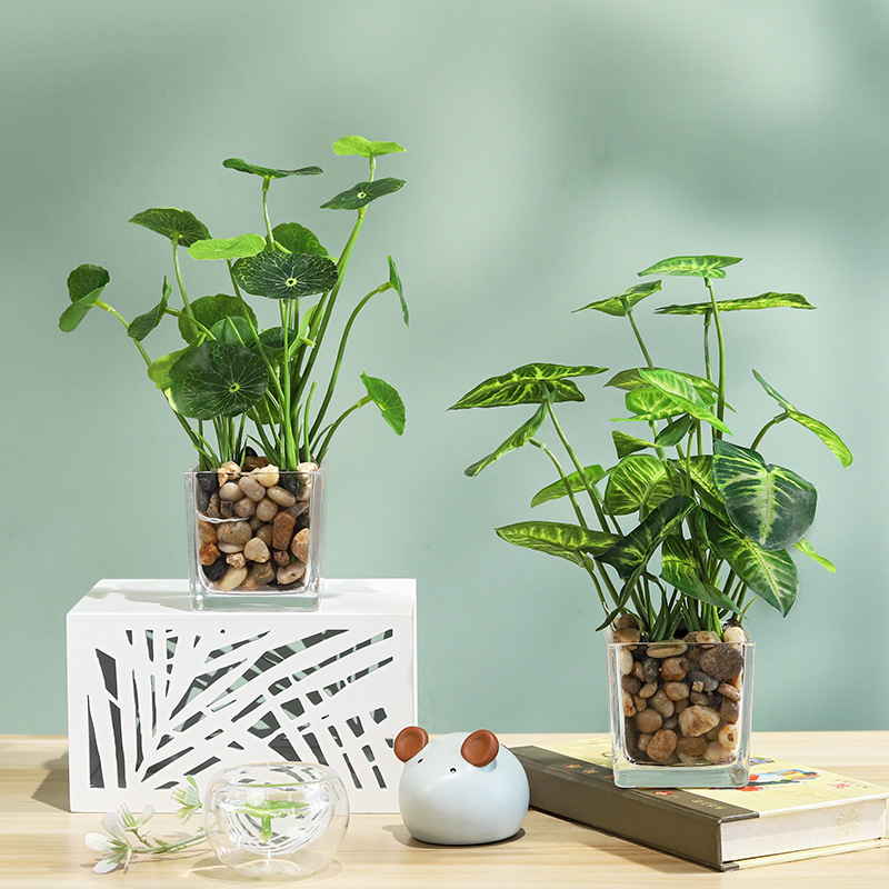 批发小清新玻璃瓶四叶草万年青仿真绿植盆栽摆件家居装饰桌面摆设