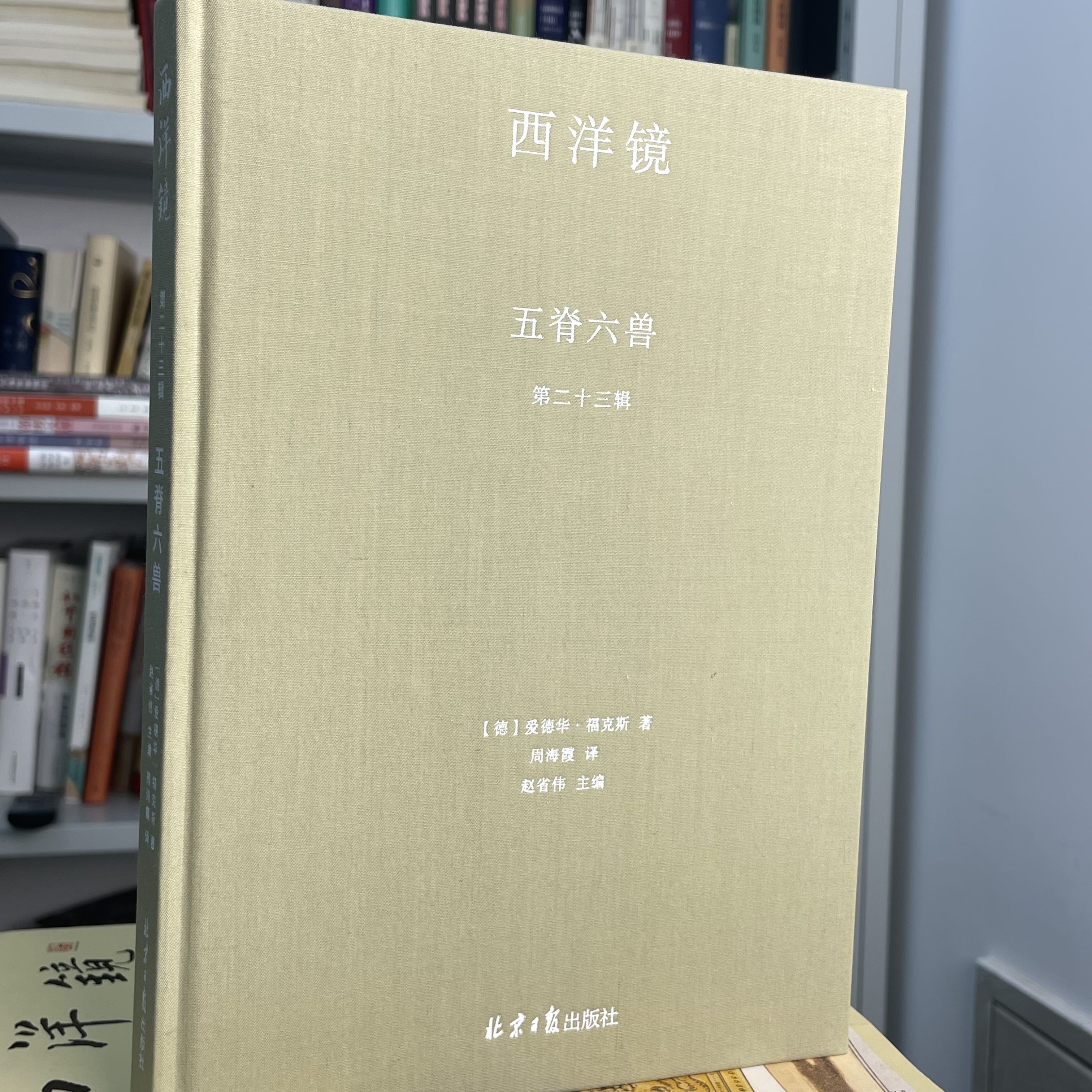 西洋镜布面庆元旦仓播大瑕疵专场