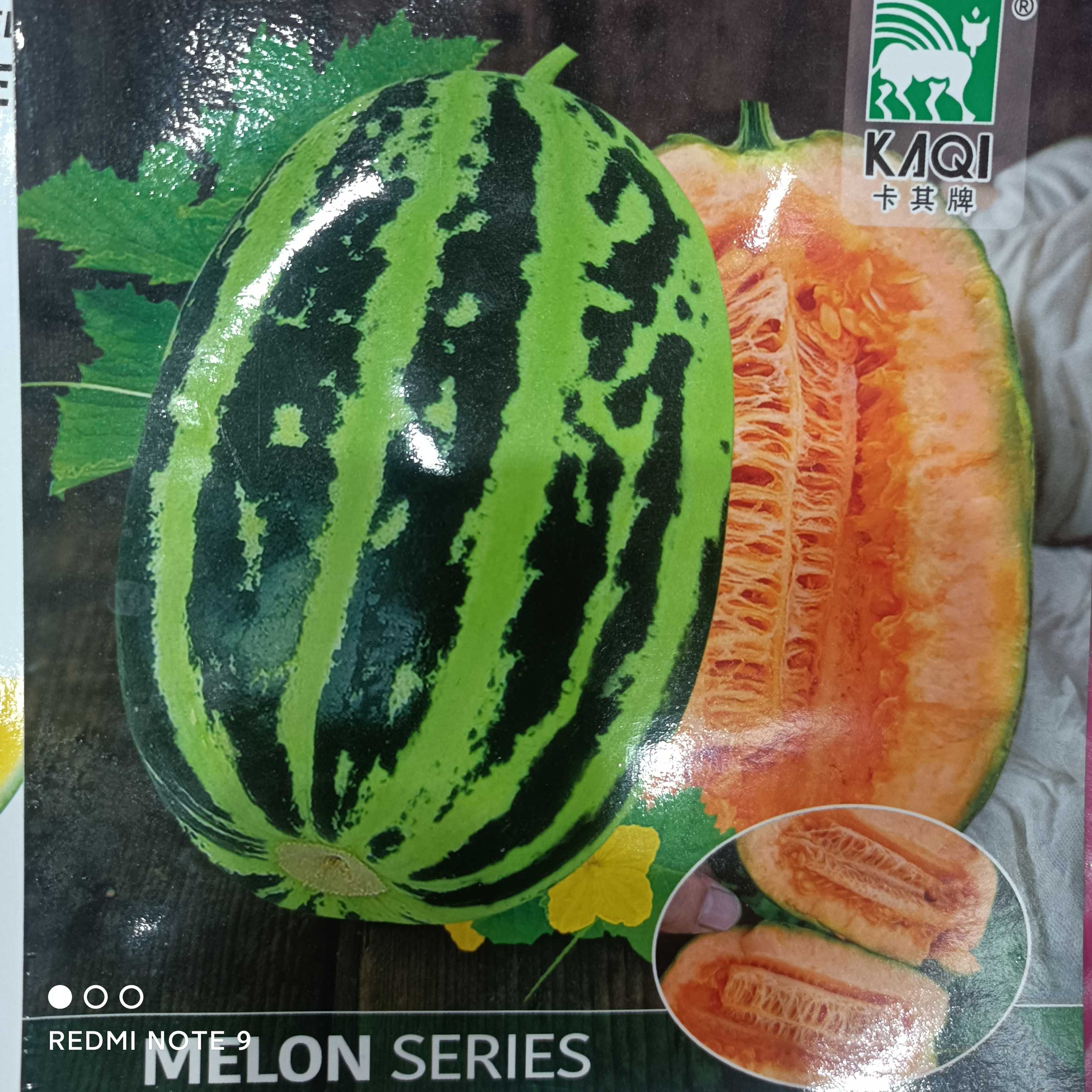 杂交冰糖子香瓜西瓜种子瓜果50粒种子甜瓜种子香瓜种子