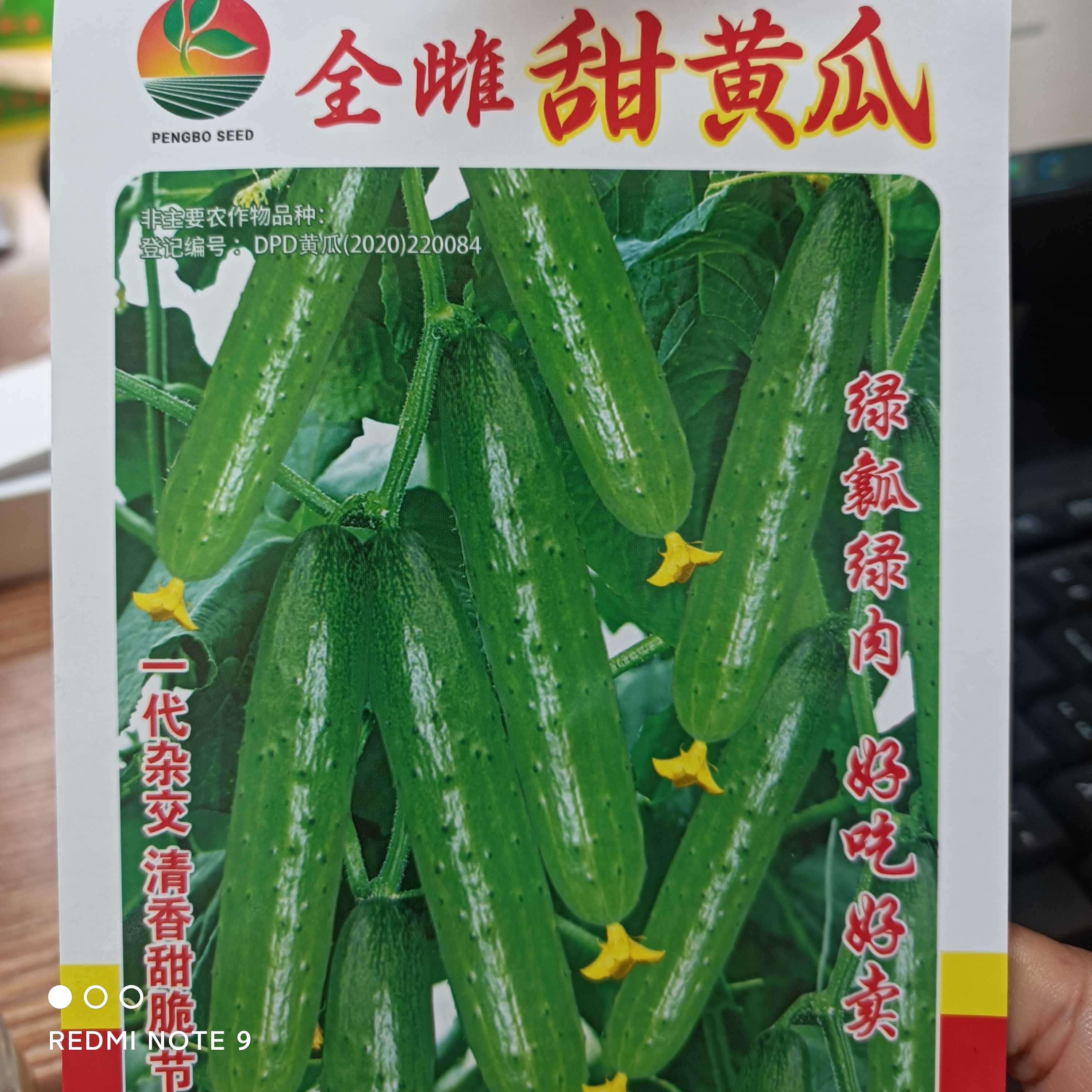 全雌甜黄瓜早熟旱黄瓜50粒
