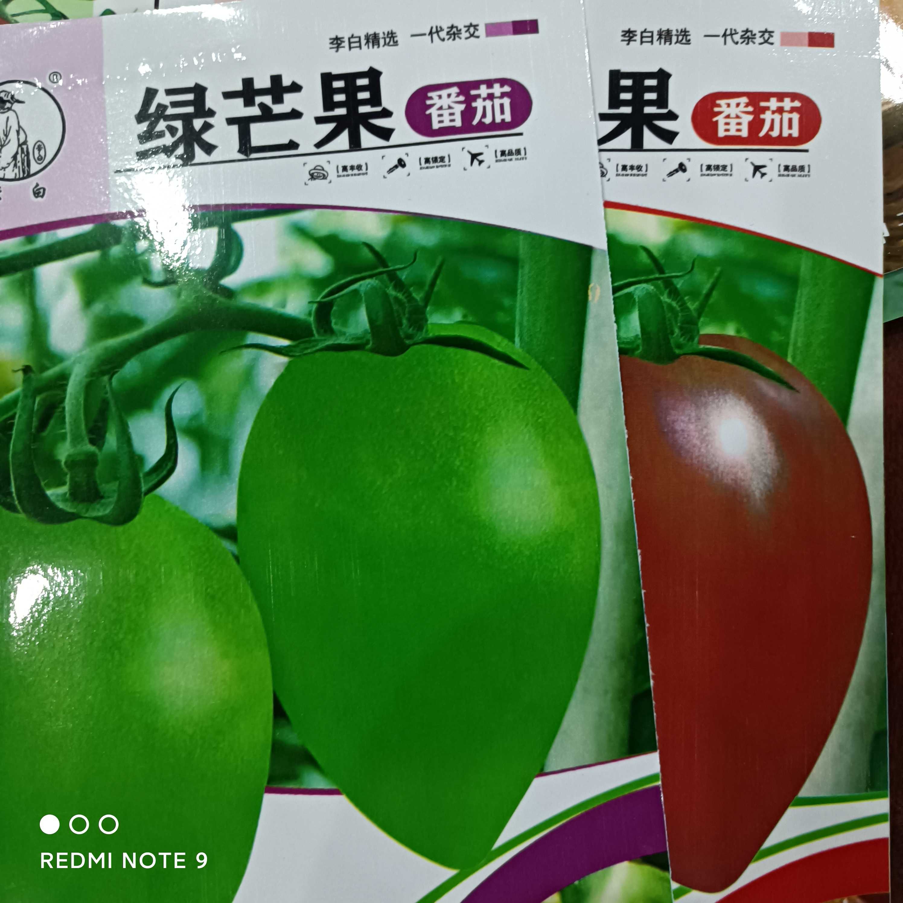 紫芒果西红柿种子绿芒果柿子100粒1袋西红柿蔬菜正品菜种子