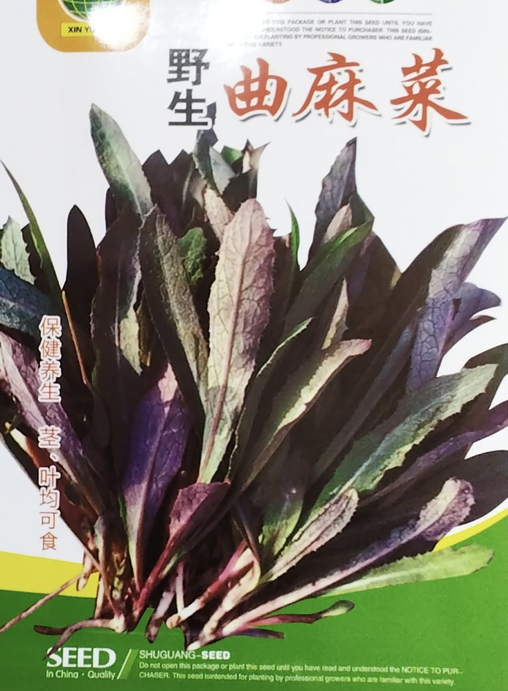 野生曲麻菜野菜种子春秋种值四季采收东北野菜