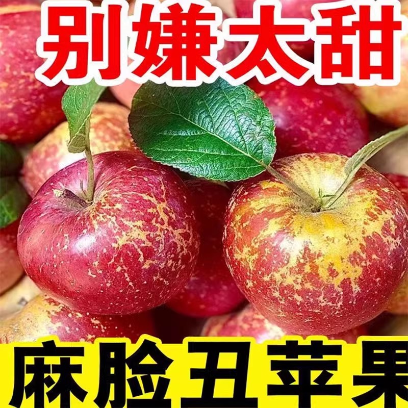 四川大凉山丑苹果冰糖心苹果新鲜水果当季整箱孕妇盐源红富士苹果