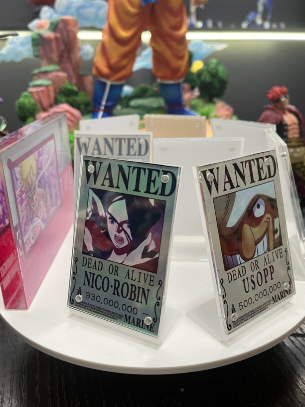 【轩子GK】现货 轩子殿堂通缉令铭牌