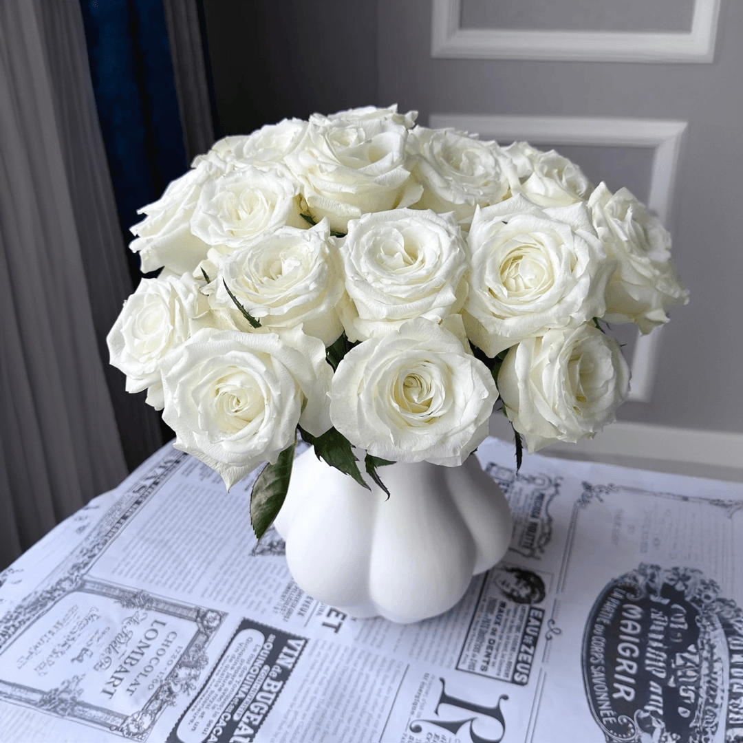 【浙里花】白骄傲玫瑰 昆明基地直发  两单升级EMS空运/京东冷链