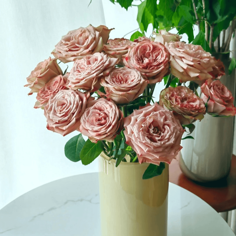 【浙里花】卡布奇诺玫瑰 基地直发  两单升级EMS空运/京东冷链