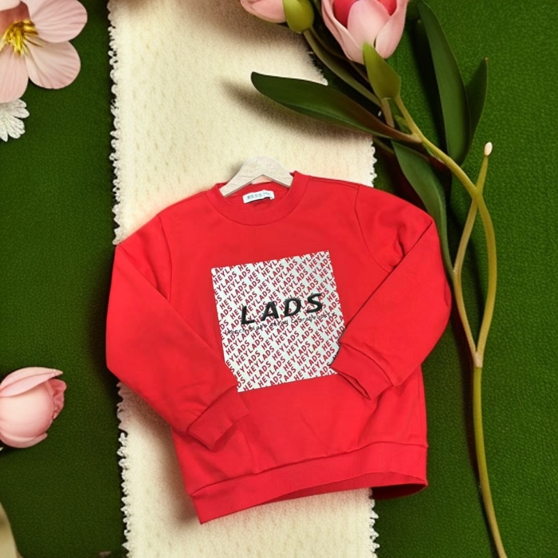 B5-512生儿童秋冬加内衬厚卫衣(40038)