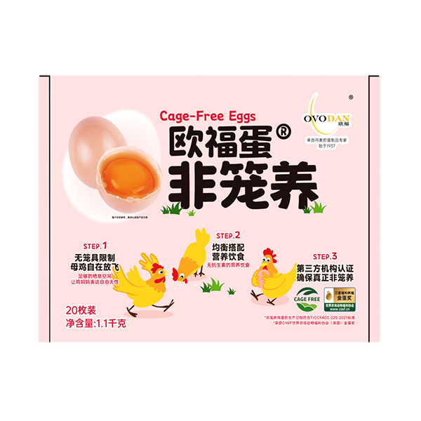 OVODAN/欧福非笼养鸡蛋1.1kg（20枚）宝宝孕妇健康营养福利鸡蛋