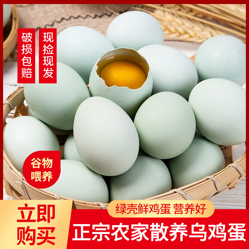 余小牧鸡蛋土鸡蛋营养好吃新鲜乌鸡蛋现捡现发绿壳山林散养鸡蛋