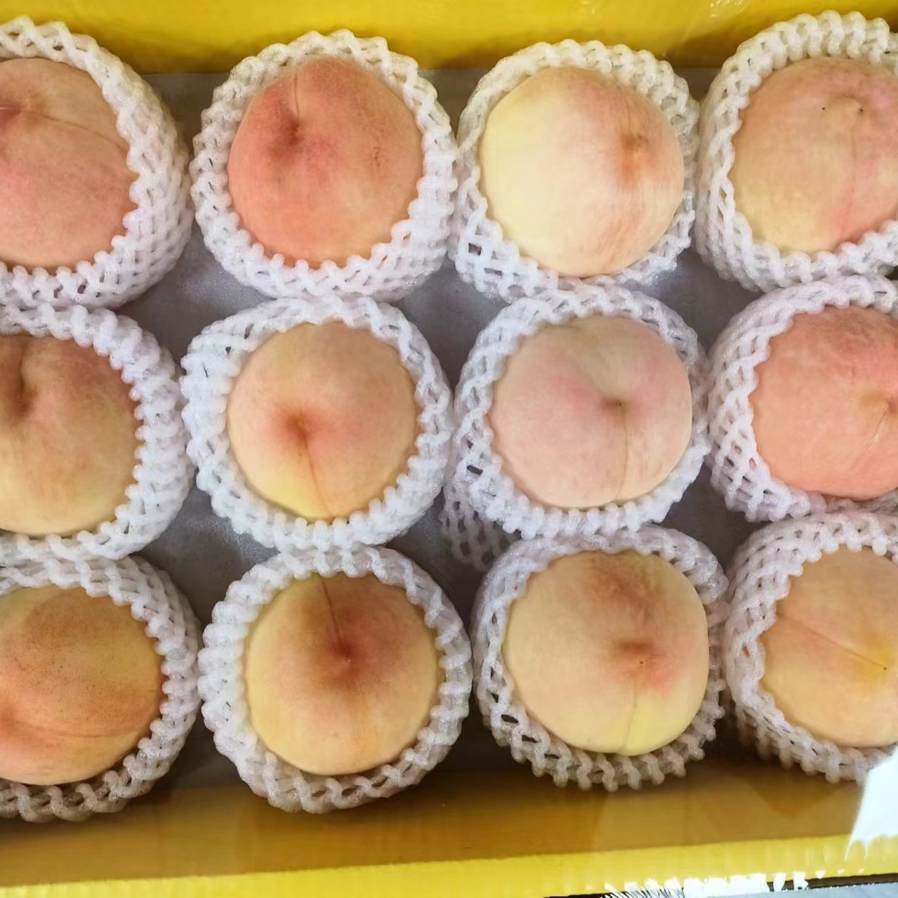 水蜜桃1箱12个