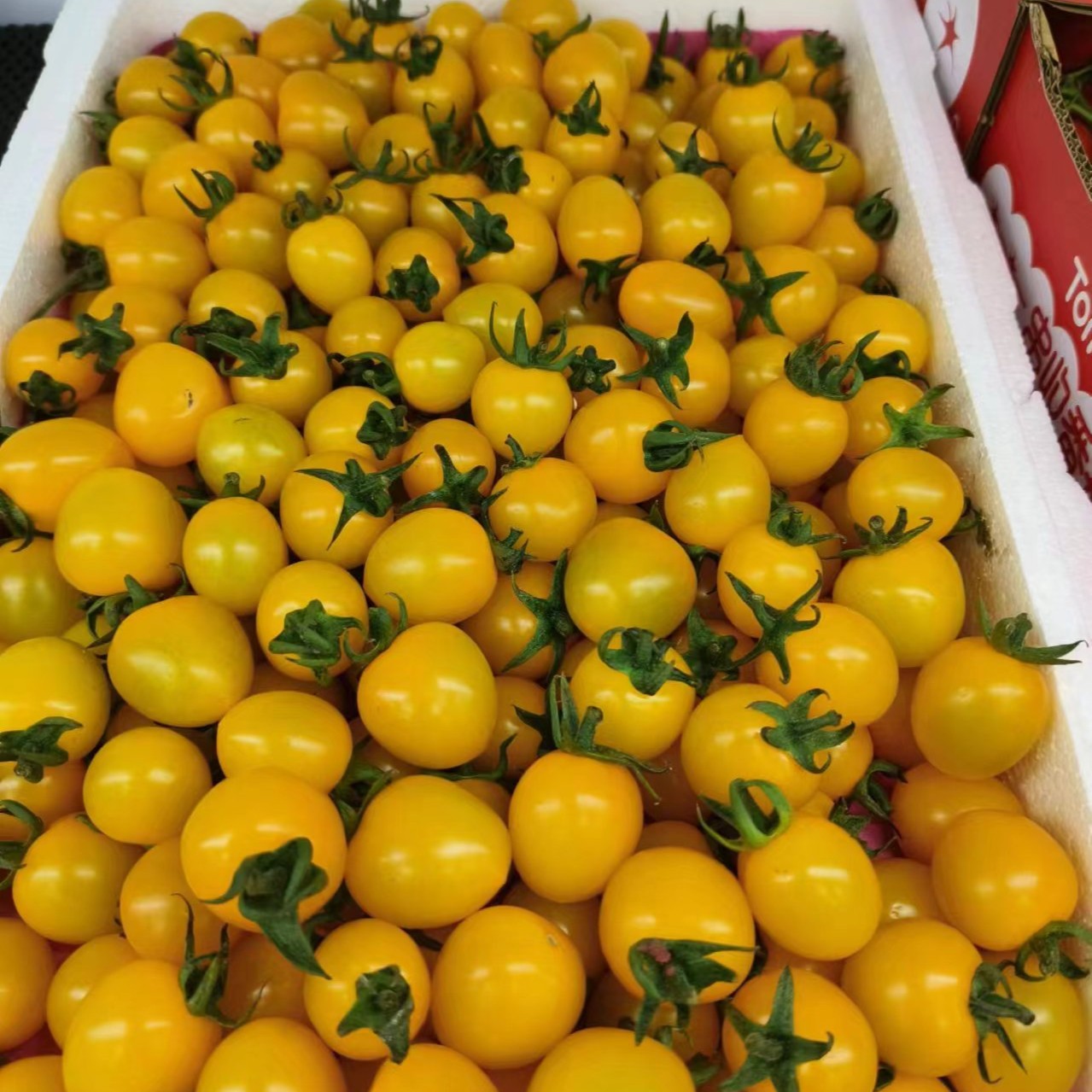 黄圣女果（1斤左右）