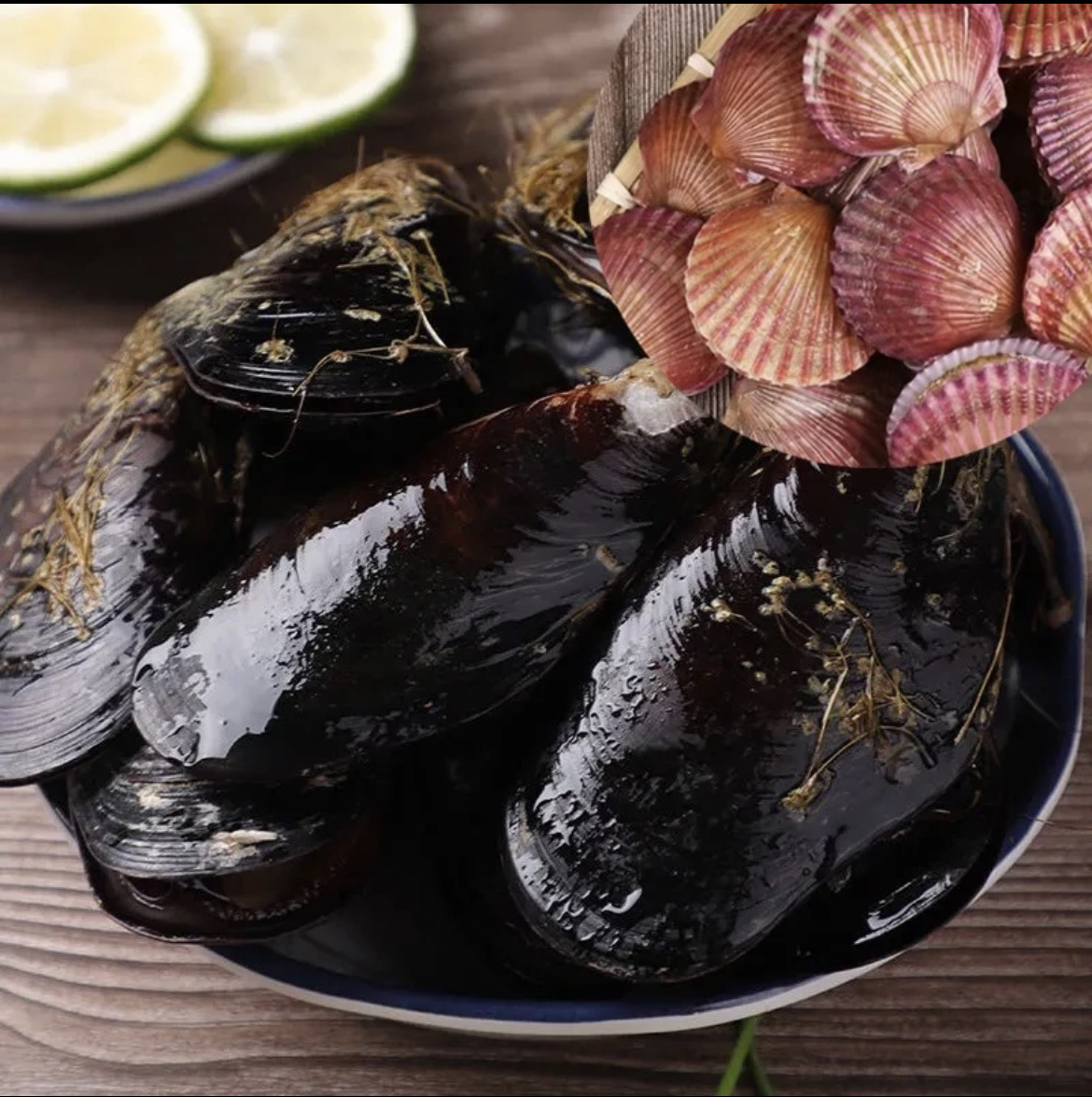 【贝类套餐】青口贝3斤+小红贝3斤一共6斤（包鲜不包活）