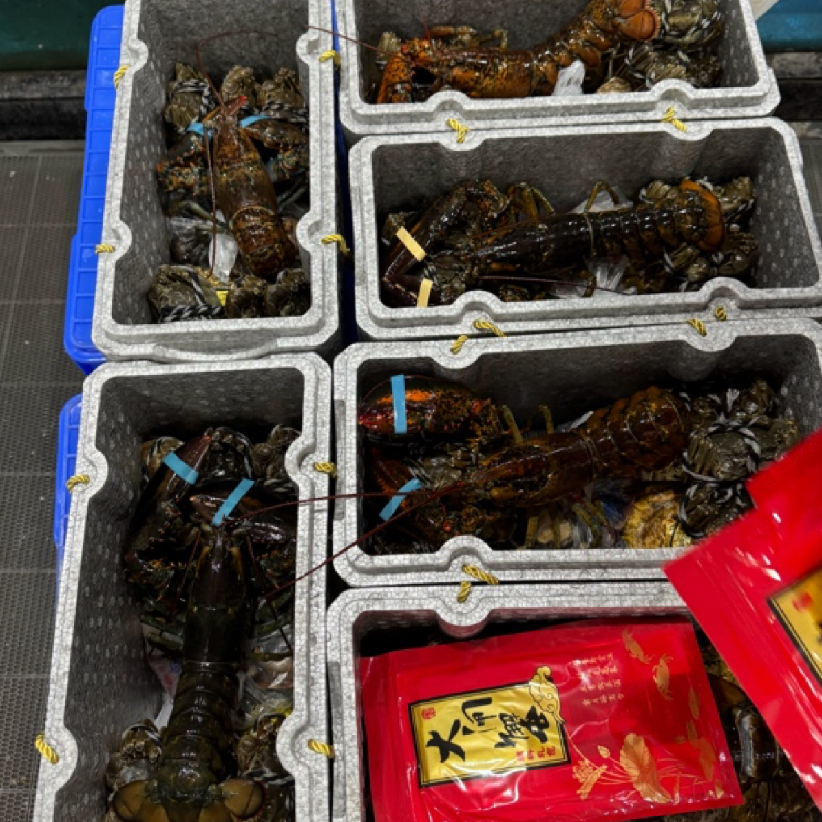（鲜活）海鲜大礼包（龙虾+大面包+大鲍鱼+大生蚝）