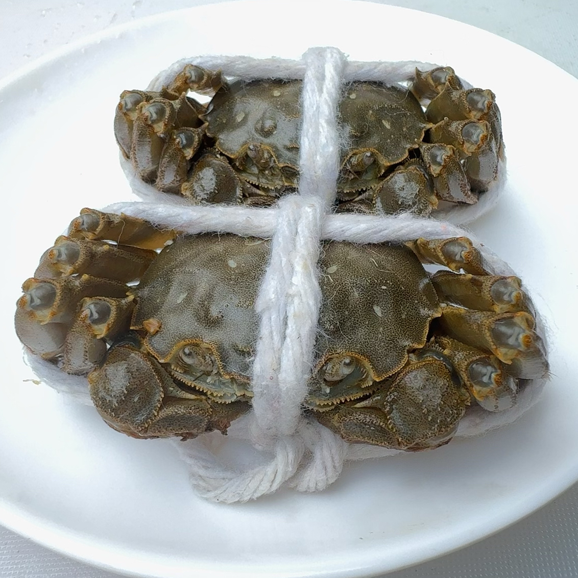 （福利款10只装）2两大闸蟹138（1.8-2.0）