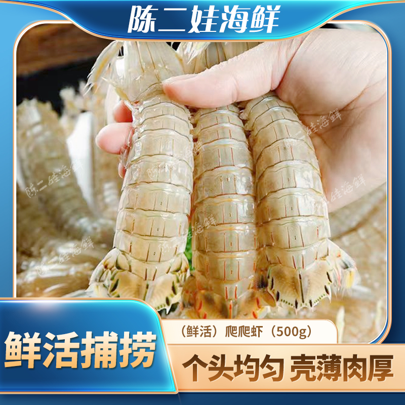 （鲜活）爬爬虾（500g）