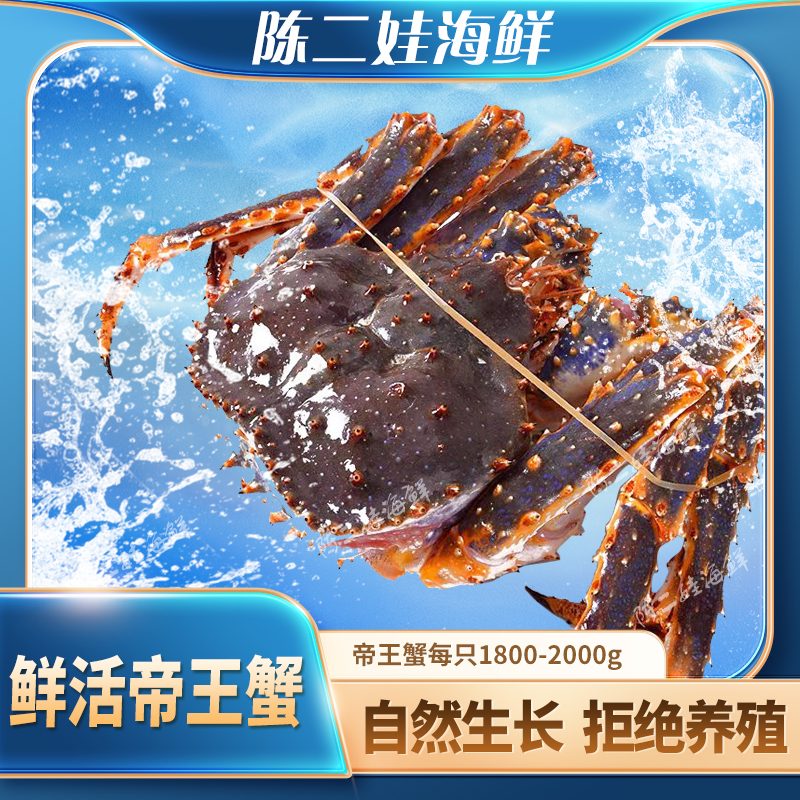 （鲜活）帝王蟹（1800-2000g）现称现拍