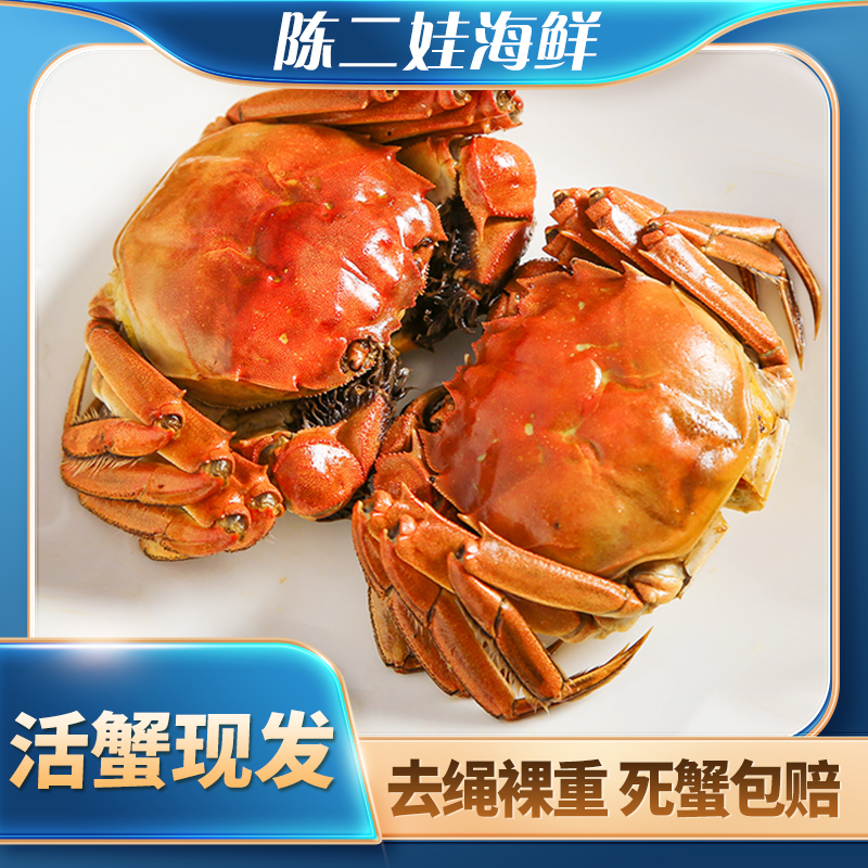 （鲜活普蟹2.5两）江苏大闸蟹母蟹6只装（2.3-2.5）规格