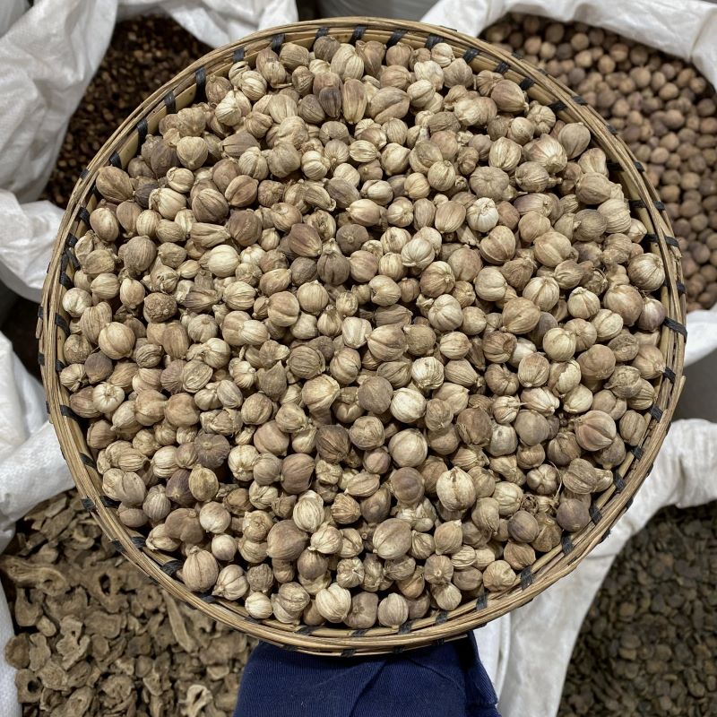白豆蔻 波蔻 气味浓郁新货本色白寇全干白扣香料