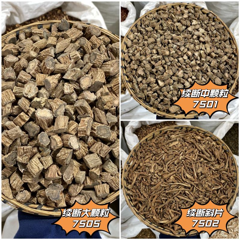 川续断正品  川续断 中颗粒   四川续断  100g起购另有当归