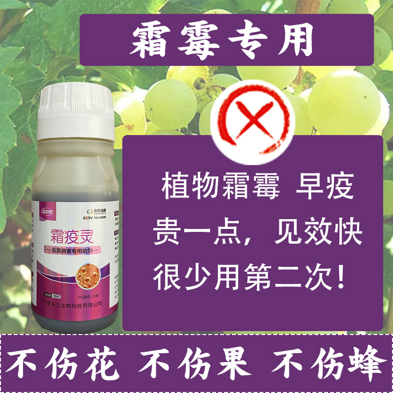 霜疫清 霜霉 晚疫 早疫 茎腐 根腐等作物真菌性病害农用