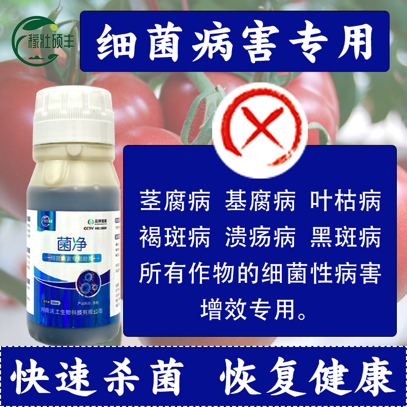 菌净 细菌病害专用助剂100g500g农作物防病治病生物助剂增效助剂