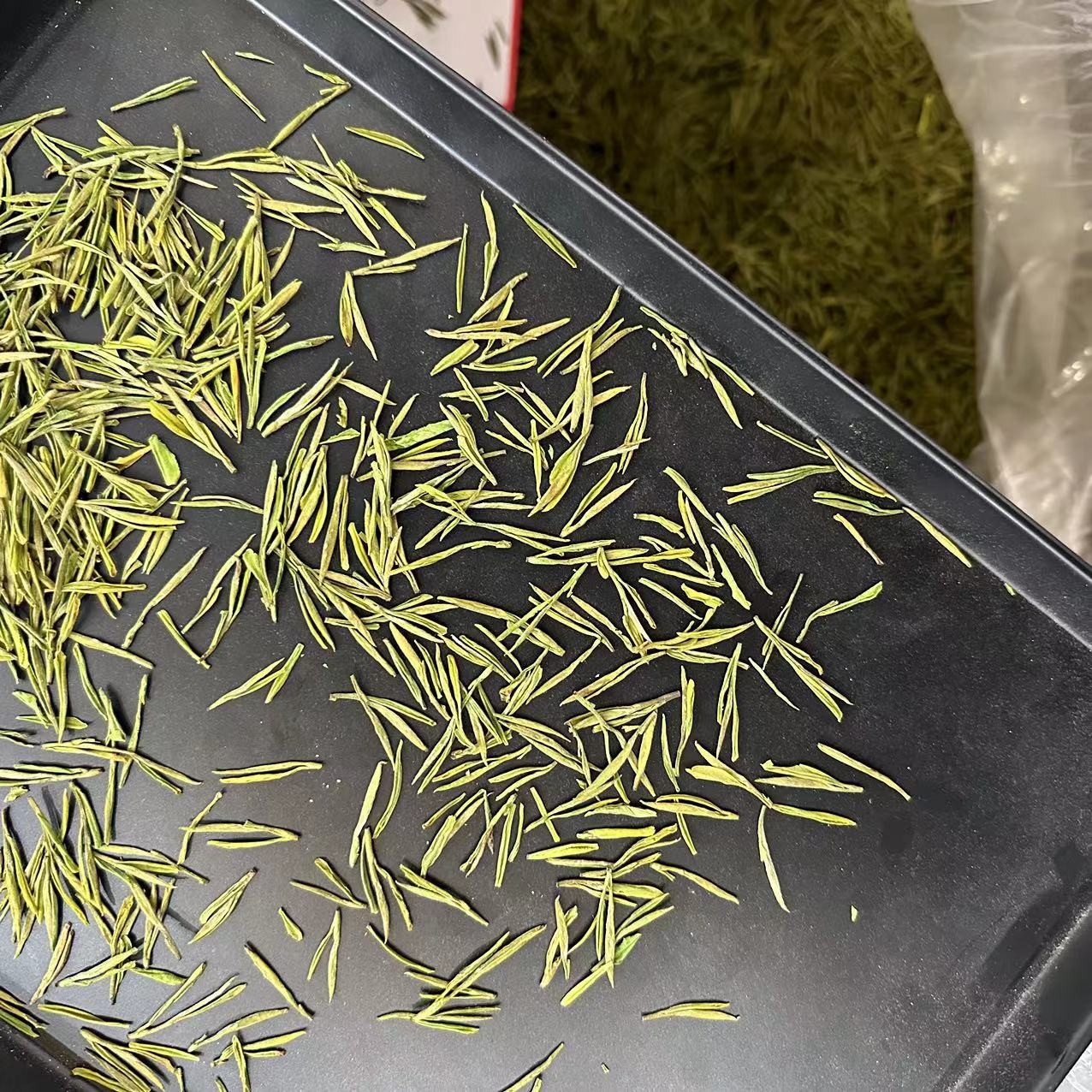【不计成本冲单量】昆铜小芽 新茶原产地安吉高山白茶 兰花香 