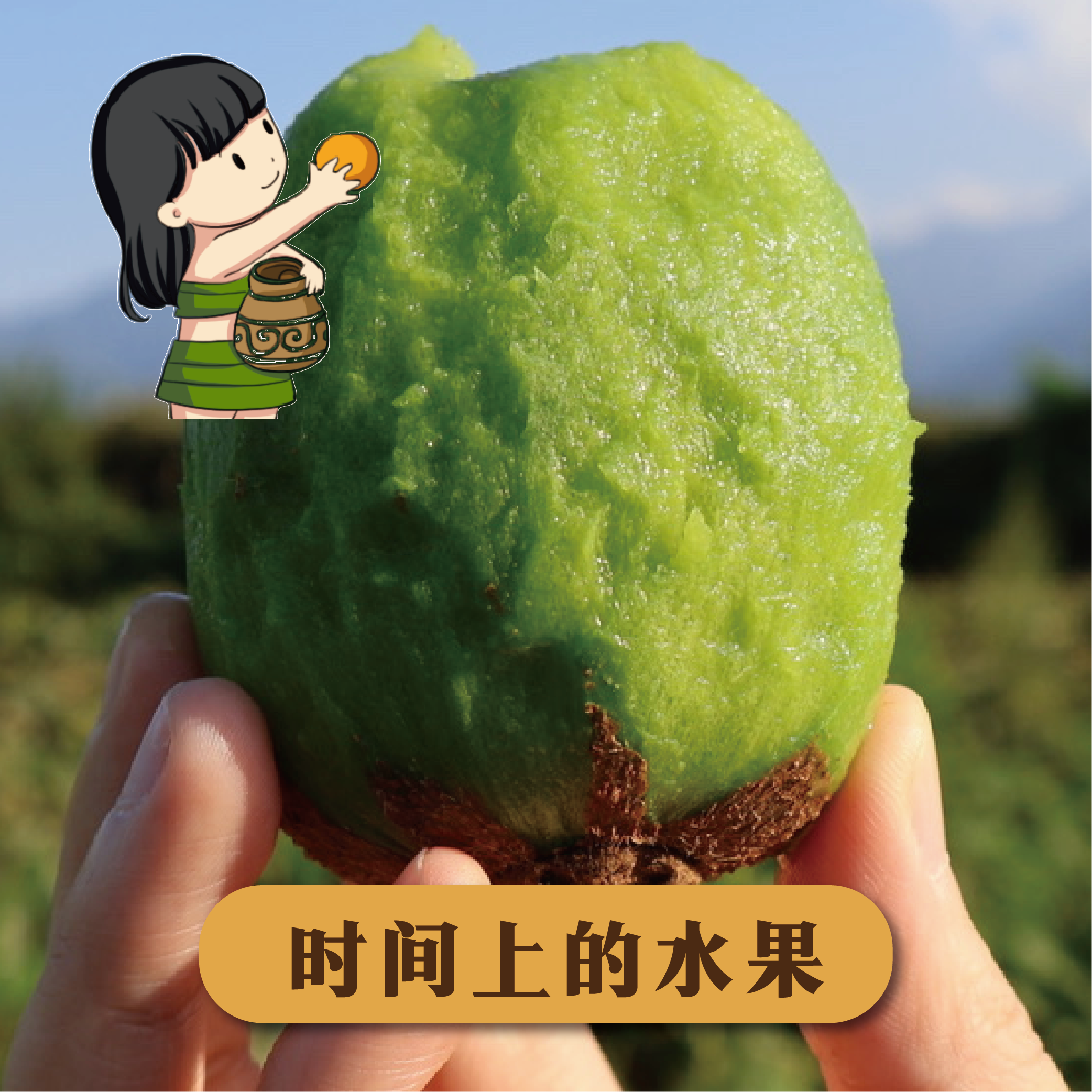 陕西翠香猕猴桃【精品猕猴桃】时间上的水果绿心奇异果2-5斤礼盒