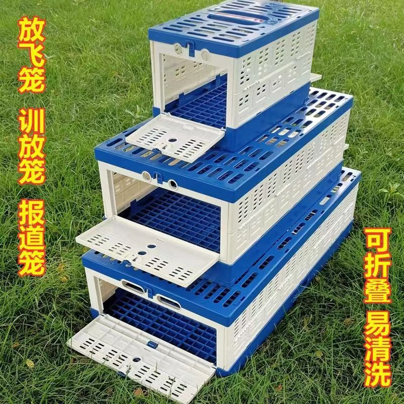 JK鸽子放飞笼训放信鸽用品折叠鸽子笼集鸽训放鸽子笼比赛笼赛鸽用