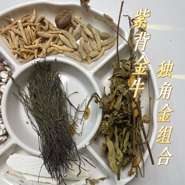 （黄姨专属）紫背金牛疳积草组合