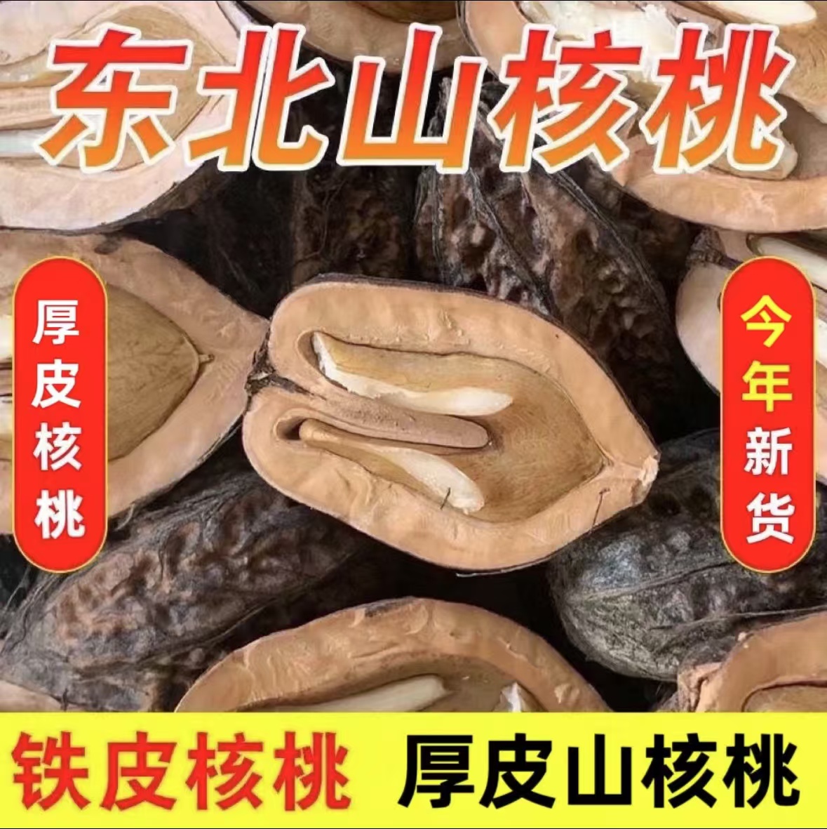 东北特产野生山核桃2024年新货（皮厚皮硬不好开）