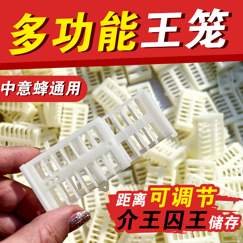 蜜蜂王笼塑料多功能王笼中意蜂通用蜂王笼囚王笼养蜂工具
