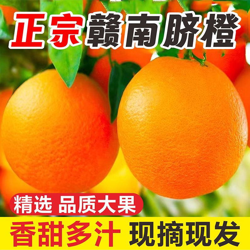 【超低价】正宗江西赣南脐橙1/5/9斤橙子新鲜手剥甜橙当季整箱水果