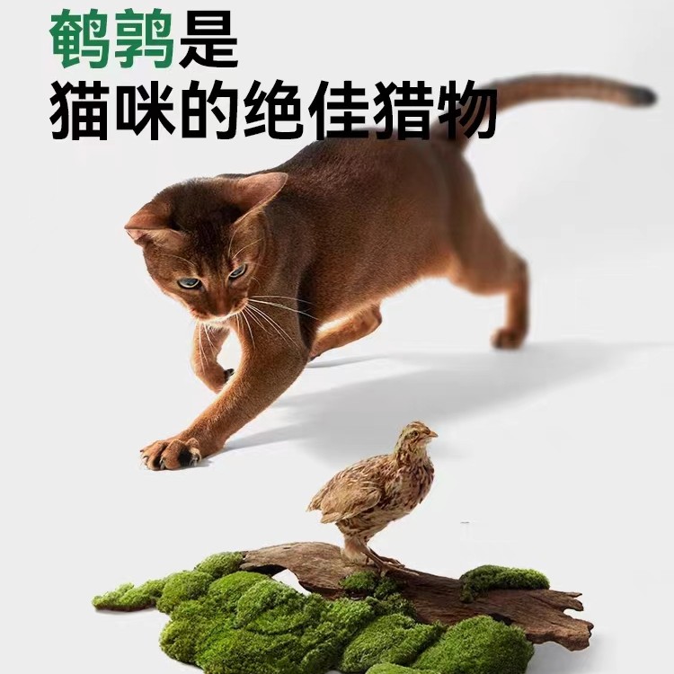 【玻璃胃克星】帕特全价全期酶解纯粮猫犬粮鹌鹑无谷配方主粮达人