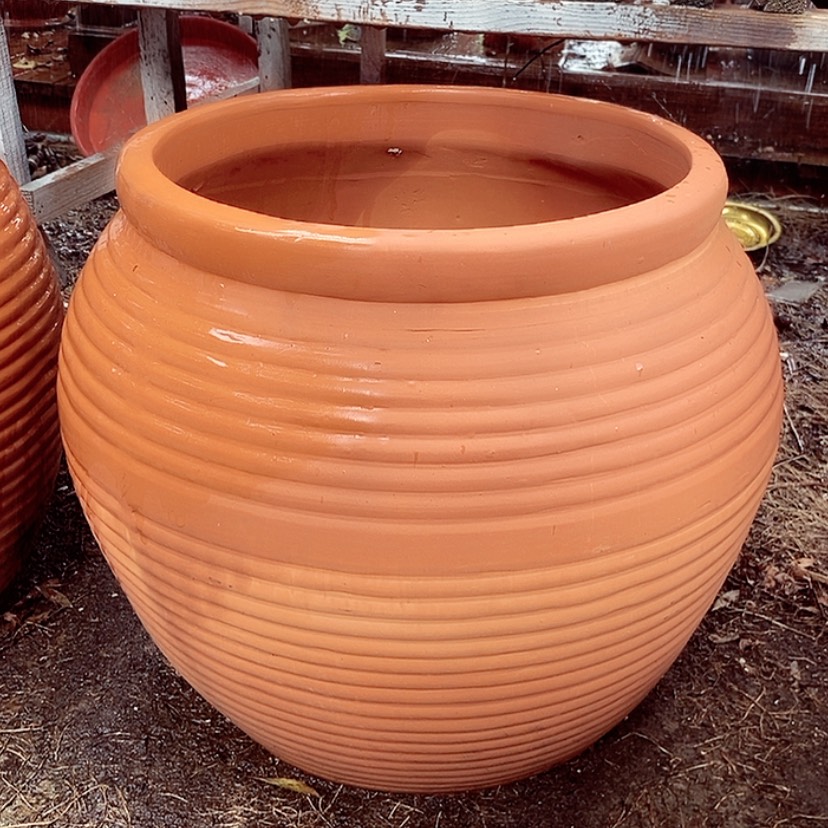 【闪购商品】红陶20CM（含）-50CM（不含）34-36