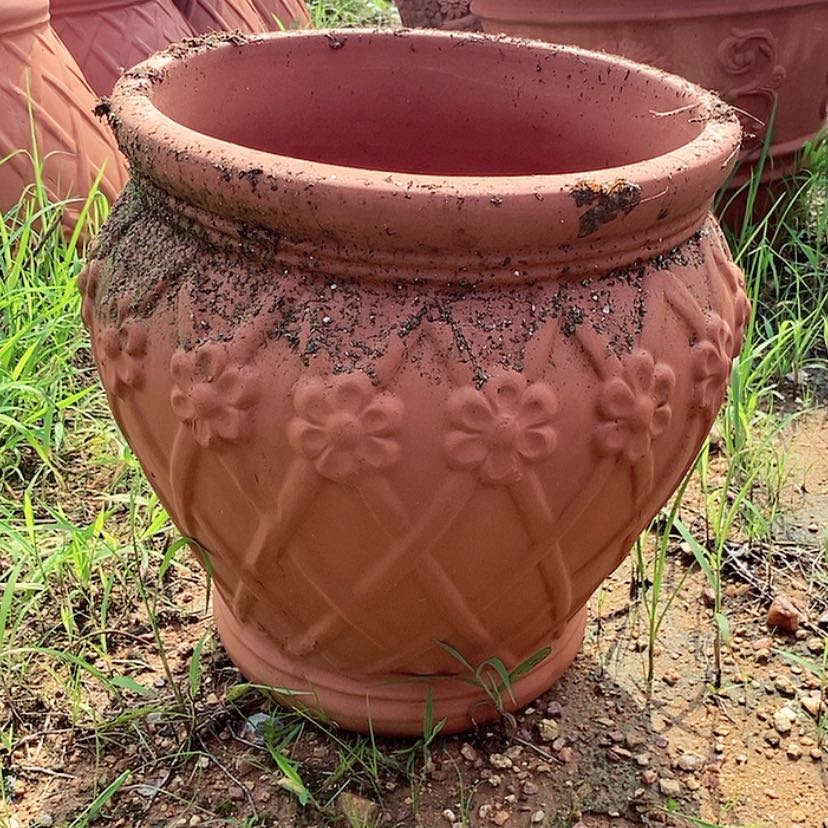 【闪购商品】红陶20CM（含）-50CM（不含）37/40