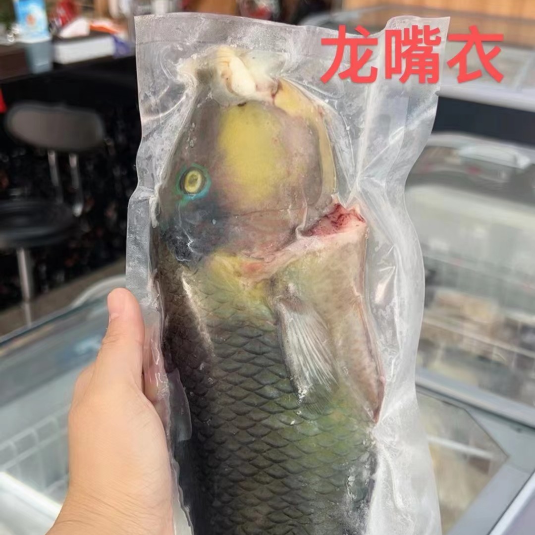 （7号直播现称现拍）斑马鲷、龙嘴青衣、泰星斑、等野生杂鱼