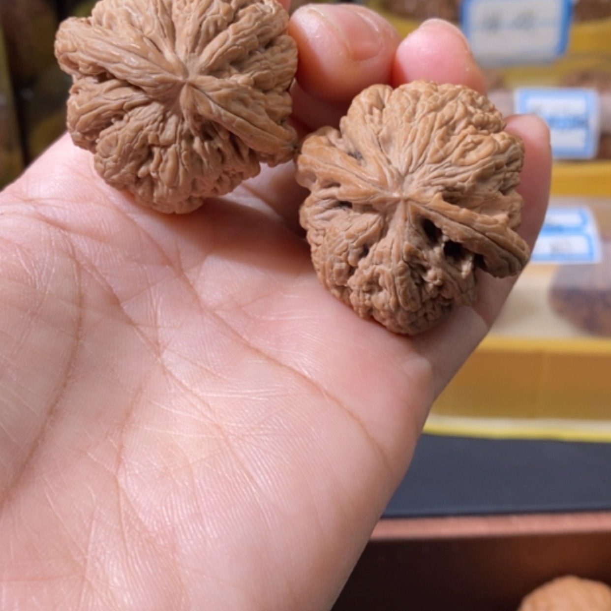 【闪购商品】文玩核桃吊坠前***✨