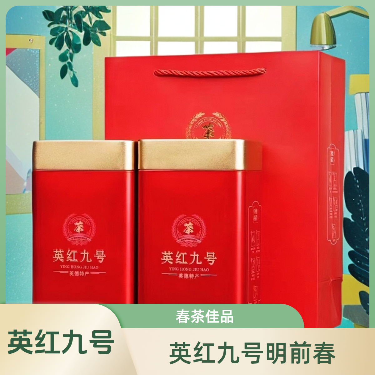 英红九号明前春浓香型耐冲耐泡精质量好佳品