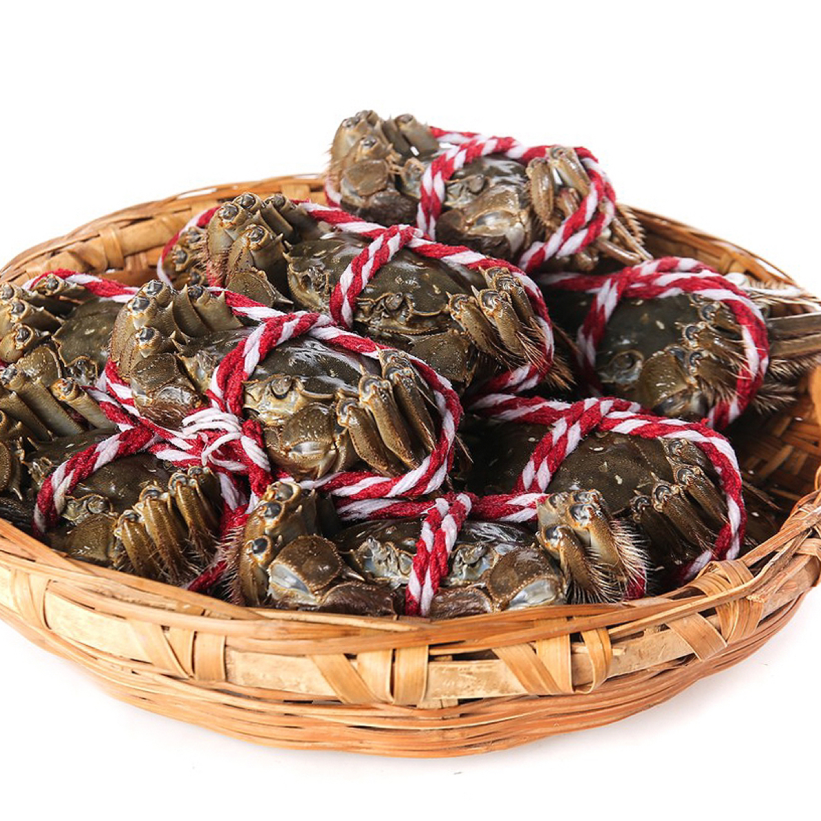 活蟹全母蟹江苏湖蟹1.8两~1.5两10只 14只顺丰包邮不捆扎