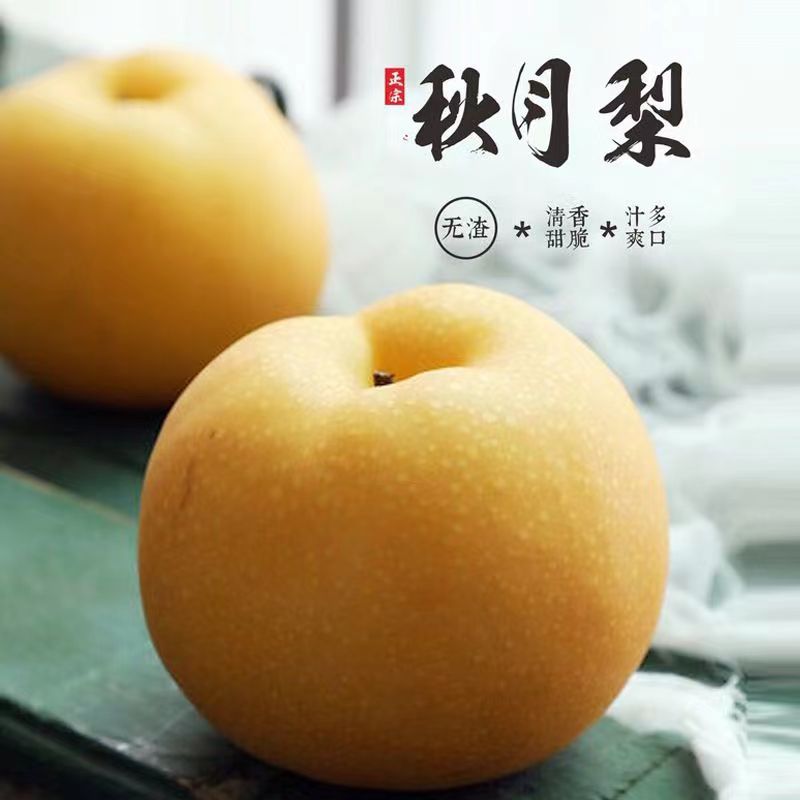 正宗山东秋月梨新鲜皮薄细腻爽口化渣甜脆汁水多爆汁SSS