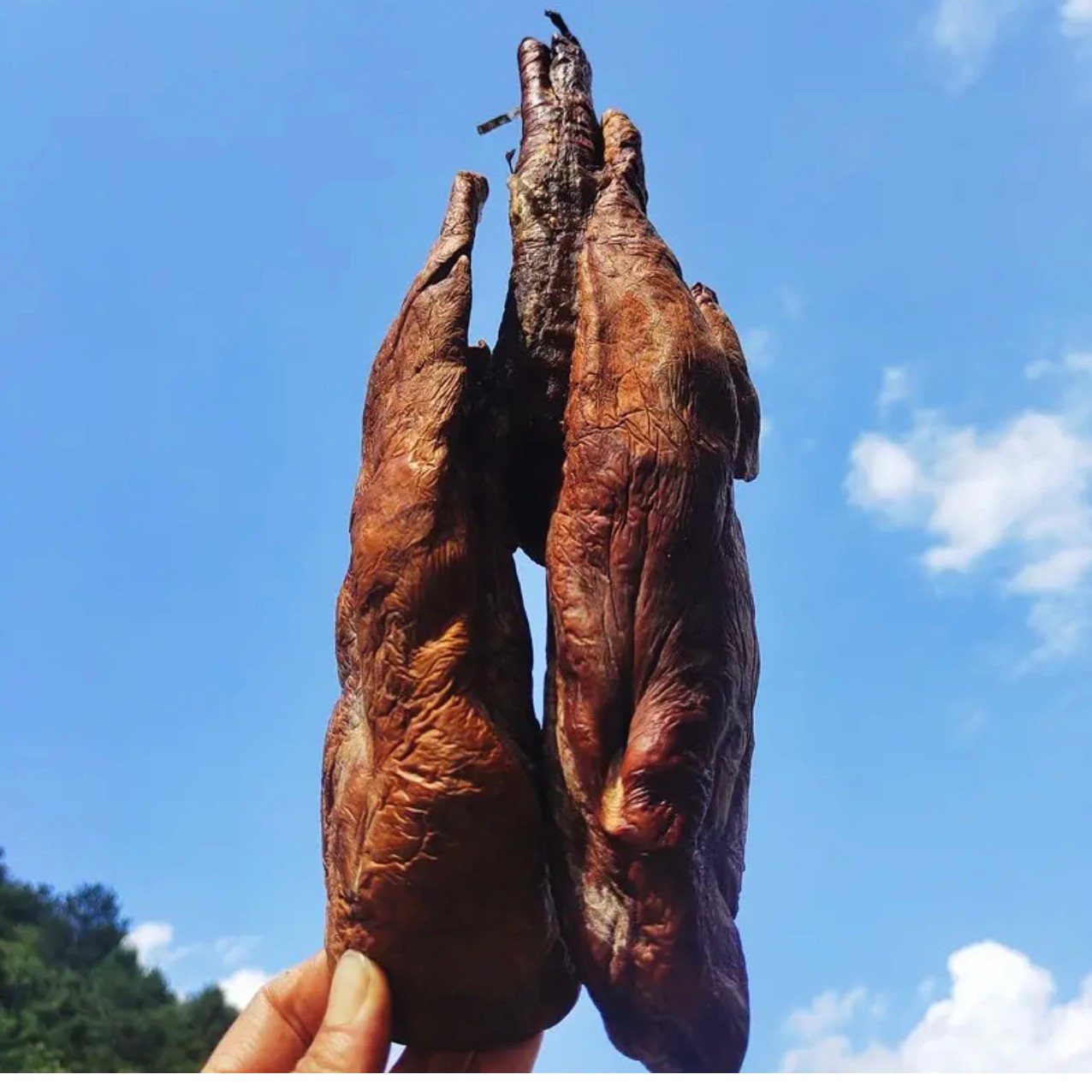 （腊猪肺）农村柏树枝烟熏腊猪肺 