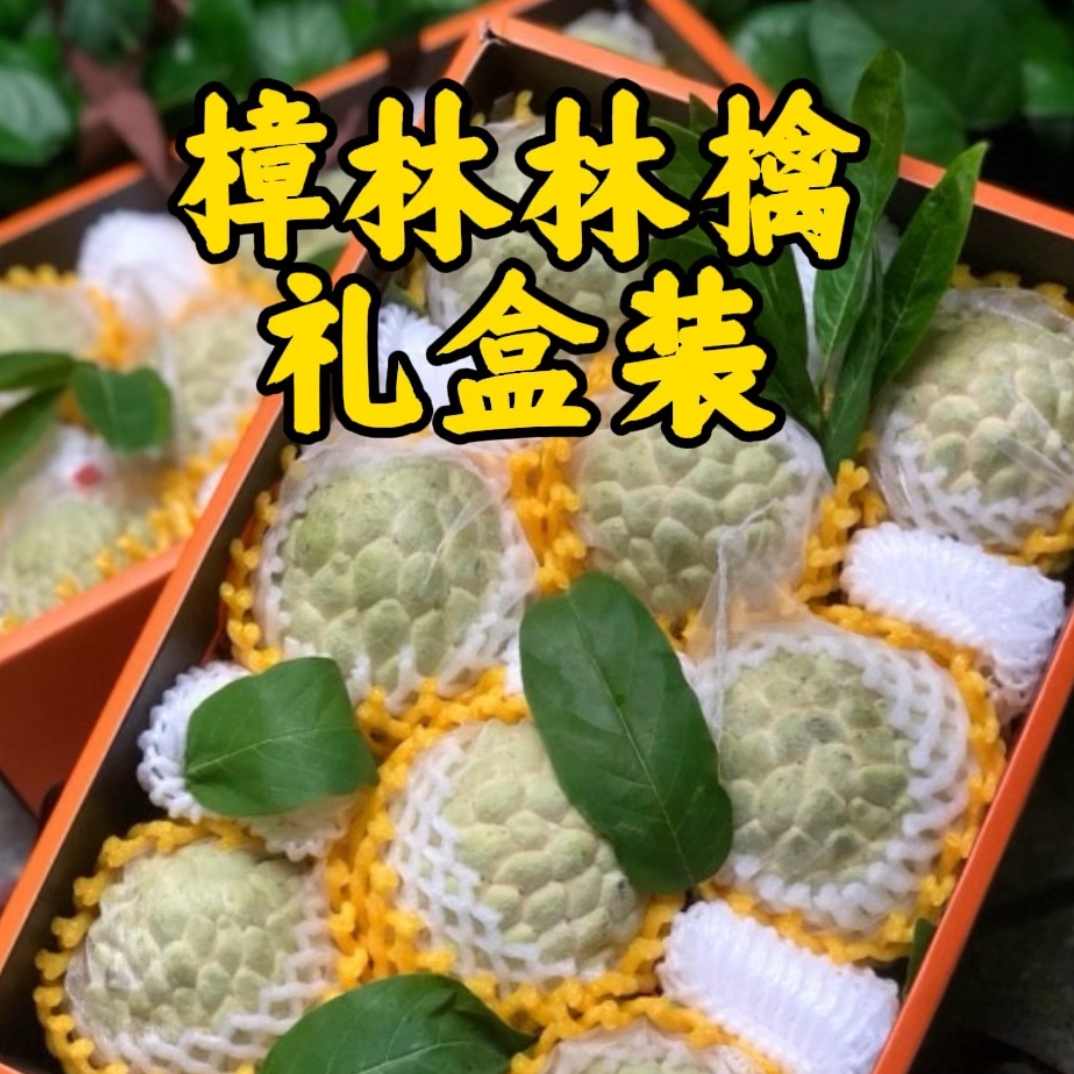 【樟林林檎礼盒5斤装】樟林林檎现摘现发收到拿出来 硬的不能放冰箱