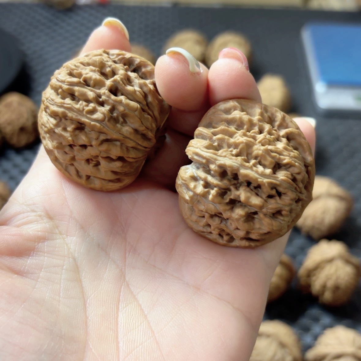 【闪购商品】文玩核桃吊坠41楼