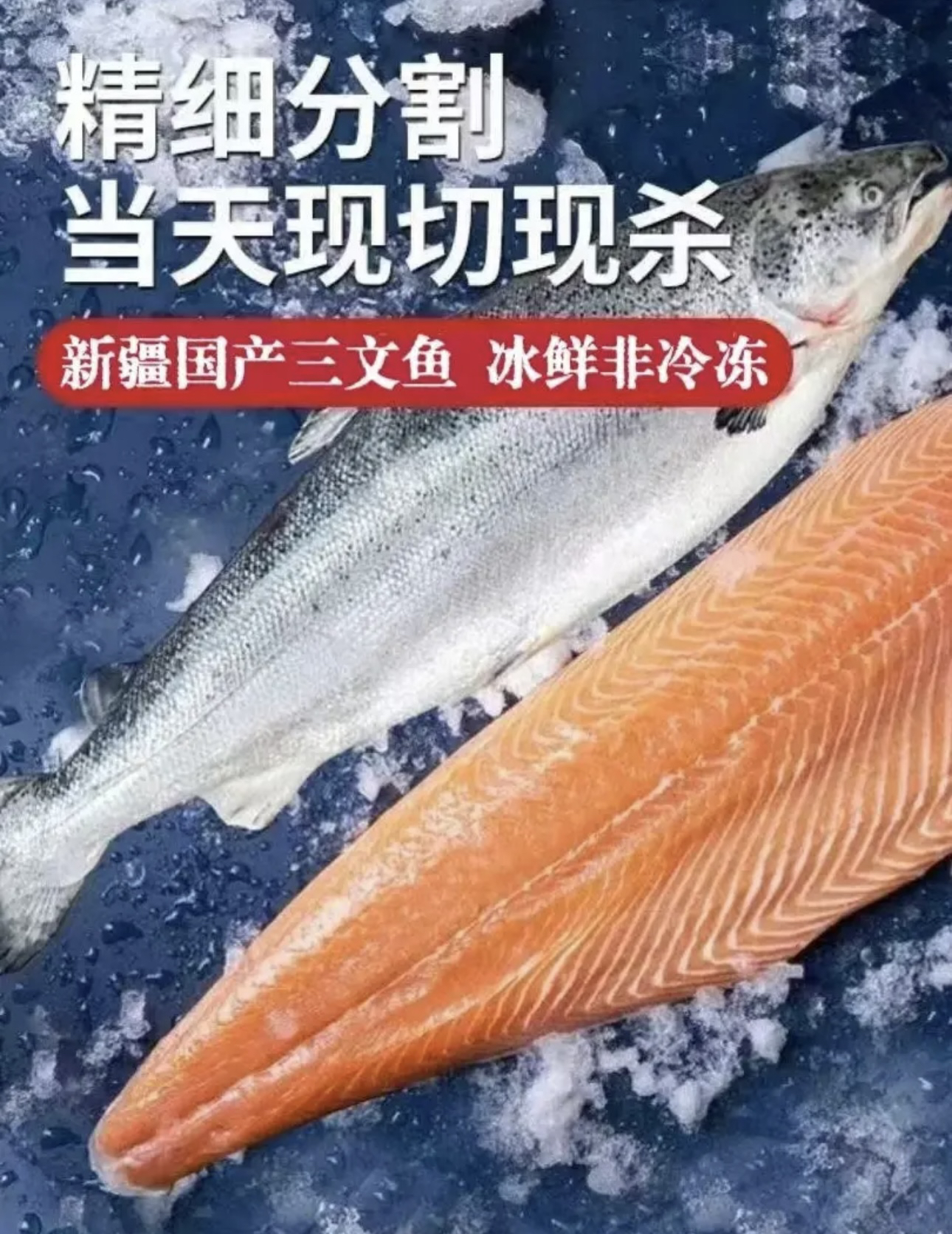 【当天现切 免费开片】正宗新疆/青海三文鱼5斤冰鲜刺身整条生鱼片