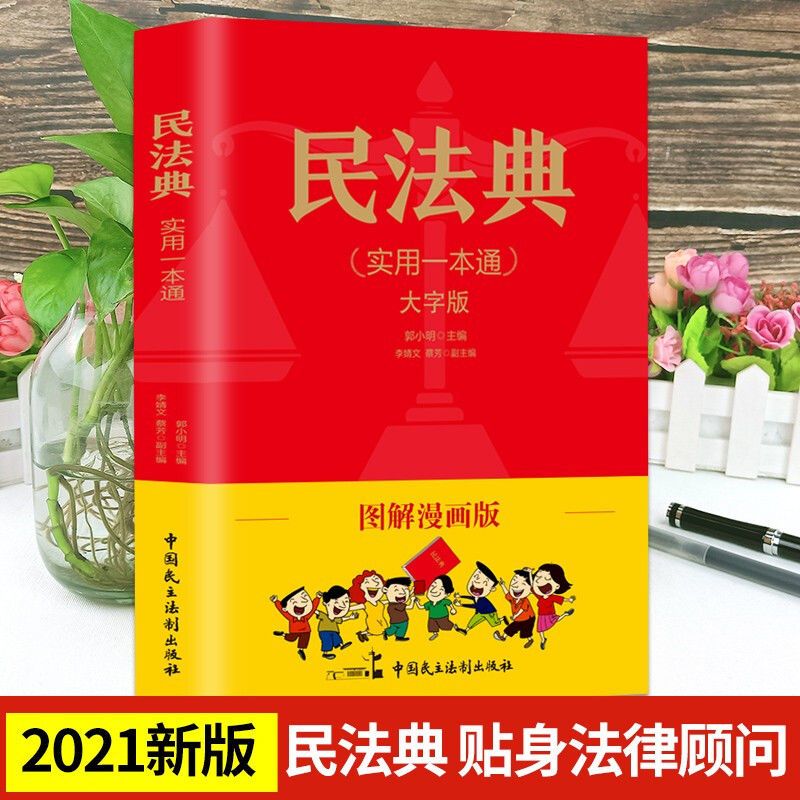 图解漫画版民法典实用一本通大字版法律常识民法典法律常识法制