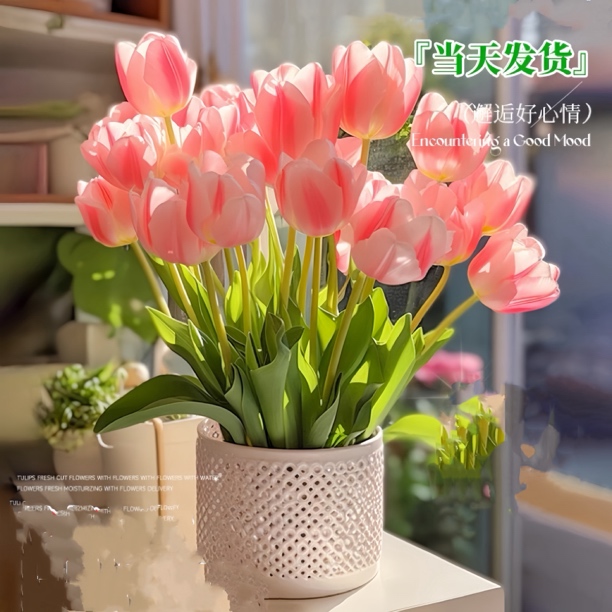 【四季开花】郁金香盆栽香花苗水培浓香好养耐寒室内外宿舍阳台花卉