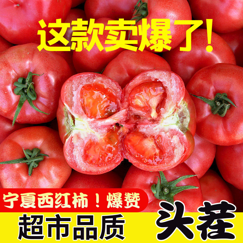 宁夏甄选露天西红柿沙瓤草莓心5斤带籽现摘现发美味多汁生吃柿子