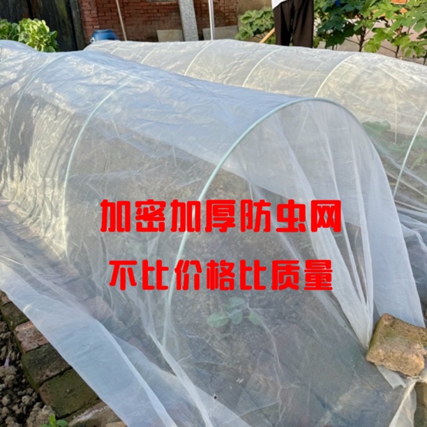 菜地大棚农用家庭小院防虫网纱网防鸟加密加厚网